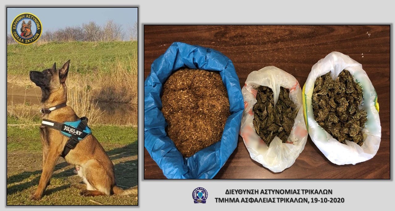 Ο "Flex" ξετρύπωσε τα ναρκωτικά